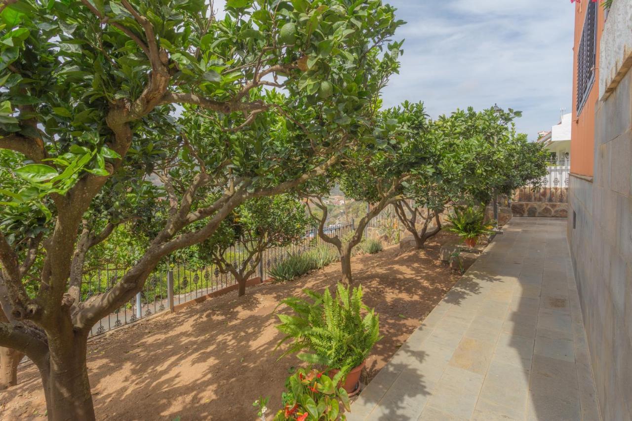 Fantastic Rural House With Pool And Terrace Βίλα Santa Brígida Εξωτερικό φωτογραφία